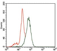 Figure 2: Flow cytometric analysis of SK-N-SH cells using ID2 mouse mAb (green) and negative control (purple).