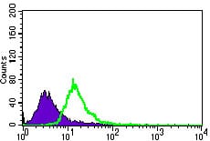 Figure 4: Flow cytometric analysis of HeLa cells using CHGA mouse mAb (green) and negative control (purple).