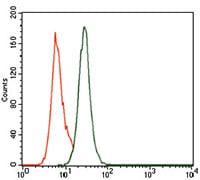 Figure 4: Flow cytometric analysis of MOLT4 cells using PCNA mouse mAb (green) and negative control (purple).