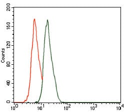 Figure 3: Flow cytometric analysis of HeLa cells using CBX8 mouse mAb (green) and negative control (red).