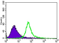 Figure 4: Flow cytometric analysis of HeLa cells using TRAFD1 mouse mAb (green) and negative control (purple).