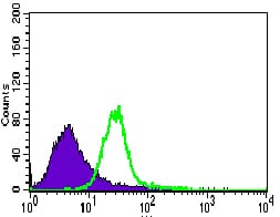 Figure 5: Flow cytometric analysis of HeLa cells using TRAFD1 mouse mAb (green) and negative control (purple).