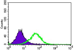 Figure 3: Flow cytometric analysis of Jurkat cells using C17ORF53 mouse mAb (green) and negative control (purple).