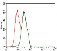 Figure 4: Flow cytometric analysis of Jurkat cells using C17ORF53 mouse mAb (green) and negative control (red).