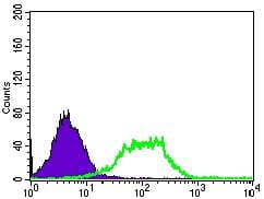 Figure 5: Flow cytometric analysis of HEK293 cells using GUCY1A3 mouse mAb (green) and negative control (purple).