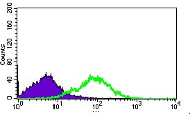 Figure 4: Flow cytometric analysis of HEK293 cells using MRPL42 mouse mAb (green) and negative control (purple).