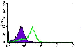 Figure 4: Flow cytometric analysis of HepG2 cells using MRPL42 mouse mAb (green) and negative control (purple).