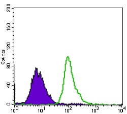 Figure 3: Flow cytometric analysis of HepG2 cells using TP53BP1 mouse mAb (green) and negative control (purple).