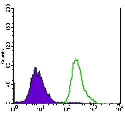 Figure 4: Flow cytometric analysis of HepG2 cells using P2RY13 mouse mAb (green) and negative control (purple).