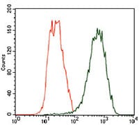 Figure 4: Flow cytometric analysis of Hela cells using TUBB2A mouse mAb (green) and negative control (red).