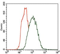 Figure 3: Flow cytometric analysis of Hela cells using CK5 mouse mAb (green) and negative control (red).