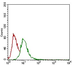 Figure 4: Flow cytometric analysis of Hela cells using GSC mouse mAb (green) and negative control (red).