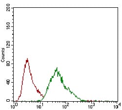 Figure 4: Flow cytometric analysis of MCF-7 cells using MCAM mouse mAb (green) and negative control (red).