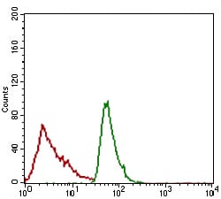 Figure 4: Flow cytometric analysis of JURKAT cells using ALCAM mouse mAb (green) and negative control (red).