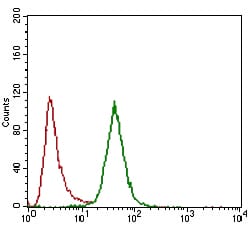 Figure 3: Flow cytometric analysis of Hela cells using CD24 mouse mAb (green) and negative control (red).