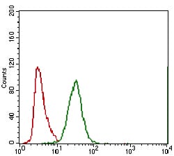 Figure 3: Flow cytometric analysis of A549 cells using ABCC4 mouse mAb (green) and negative control (red).