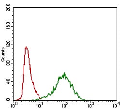 Figure 3: Flow cytometric analysis of A549 cells using ABCC4 mouse mAb (green) and negative control (red).