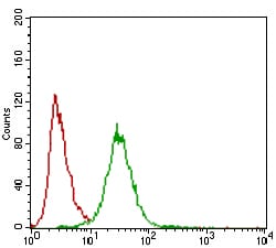 Figure 4: Flow cytometric analysis of Hela cells using ZEB1 mouse mAb (green) and negative control (red).