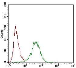 Figure 5: Flow cytometric analysis of Hela cells using CD22 mouse mAb (green) and negative control (red).