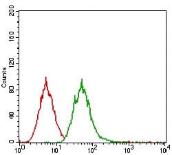 Figure 4: Flow cytometric analysis of A431 cells using EGFR mouse mAb (green) and negative control (red).