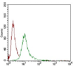 Figure 4: Flow cytometric analysis of A431 cells using SERPINA7 mouse mAb (green) and negative control (red).