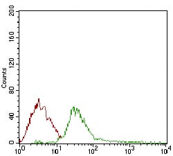 Figure 4: Flow cytometric analysis of Jurkat cells using DIS3L2 mouse mAb (green) and negative control (red).