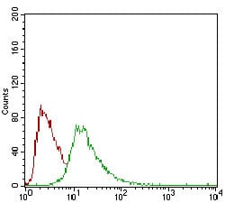 Figure 4: Flow cytometric analysis of HepG2 cells using CD93 mouse mAb (green) and negative control (red).