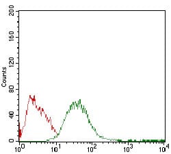 Figure 5: Flow cytometric analysis of HepG2 cells using PLIN2 mouse mAb (green) and negative control (red).