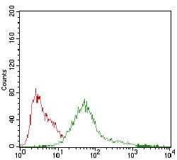 Figure 4: Flow cytometric analysis of HepG2 cells using PRKAG1 mouse mAb (green) and negative control (red).