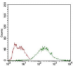 Figure 4: Flow cytometric analysis of HepG2 cells using EIF2A mouse mAb (green) and negative control (red).