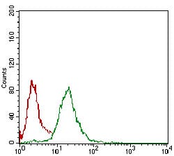 Figure 5: Flow cytometric analysis of Hela cells using NBN mouse mAb (green) and negative control (red).