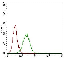 Figure 4: Flow cytometric analysis of A431 cells using NT5E mouse mAb (green) and negative control (red).