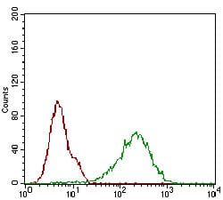 Figure 4: Flow cytometric analysis of Hela cells using CDKN2A mouse mAb (green) and negative control (red).