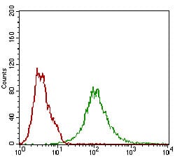 Figure 5: Flow cytometric analysis of Hela cells using BACE1 mouse mAb (green) and negative control (red).