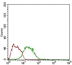 Figure 3: Flow cytometric analysis of LNcap cells using MSTN mouse mAb (green) and negative control (red).