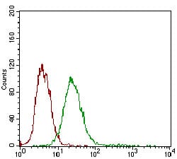 Figure 4: Flow cytometric analysis of A431 cells using DSG3 mouse mAb (green) and negative control (red).