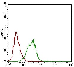 Figure 3: Flow cytometric analysis of Hela cells using PLA2G12A mouse mAb (green) and negative control (red).