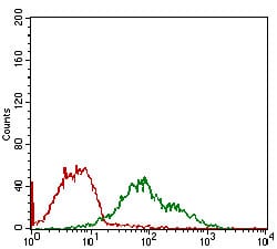 Figure 4: Flow cytometric analysis of MCF-7 cells using DDIT3 mouse mAb (green) and negative control (red).