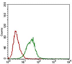 Figure 4: Flow cytometric analysis of A431 cells using DAPK3 mouse mAb (green) and negative control (red).