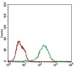 Figure 4: Flow cytometric analysis of MCF-7 cells using BAD mouse mAb (green) and negative control (red).