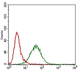 Figure 4: Flow cytometric analysis of Hela cells using GAB2 mouse mAb (green) and negative control (red).