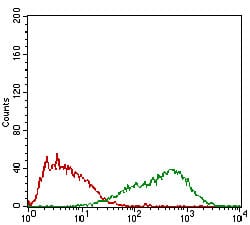 Figure 4: Flow cytometric analysis of HepG2 cells using FSHB mouse mAb (green) and negative control (red).