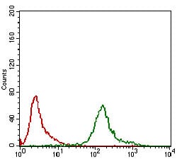 Figure 3: Flow cytometric analysis of K562 cells using KHDRBS2 mouse mAb (green) and negative control (red).