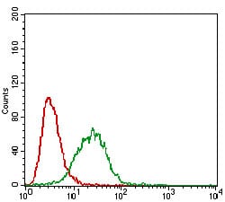 Figure 4: Flow cytometric analysis of A549 cells using CAV2 mouse mAb (green) and negative control (red).