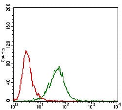 Figure 3: Flow cytometric analysis of Hela cells using MMEL1 mouse mAb (green) and negative control (red).