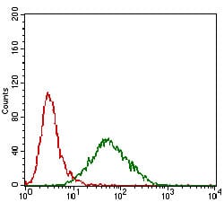 Figure 4: Flow cytometric analysis of Hela cells using PRL mouse mAb (green) and negative control (red).