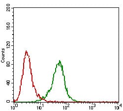 Figure 4: Flow cytometric analysis of Hela cells using PDK2 mouse mAb (green) and negative control (red).