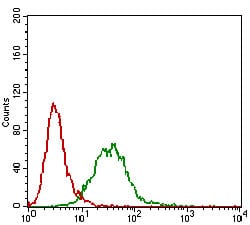 Figure 5: Flow cytometric analysis of Hela cells using CTNNBL1 mouse mAb (green) and negative control (red).