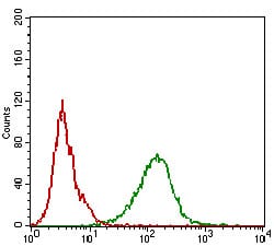 Figure 5: Flow cytometric analysis of A431 cells using SDC1 mouse mAb (green) and negative control (red).