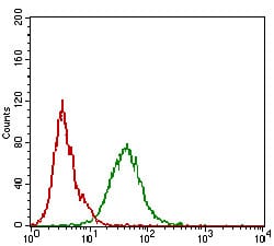 Figure 5: Flow cytometric analysis of A431 cells using CDH16 mouse mAb (green) and negative control (red).